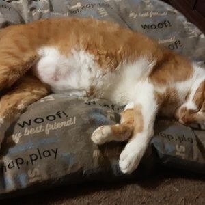 Meet your Posher, Adrianna